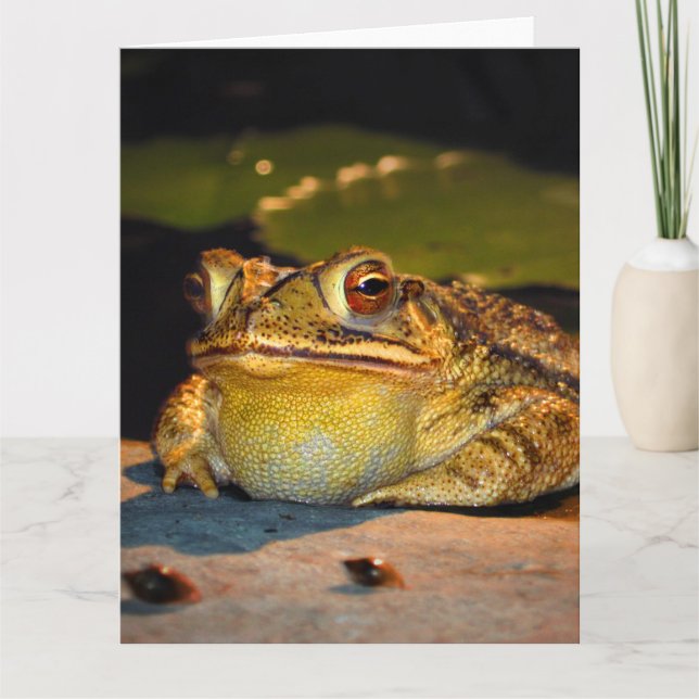 Big Fat Toad Karte (Vorderseite)