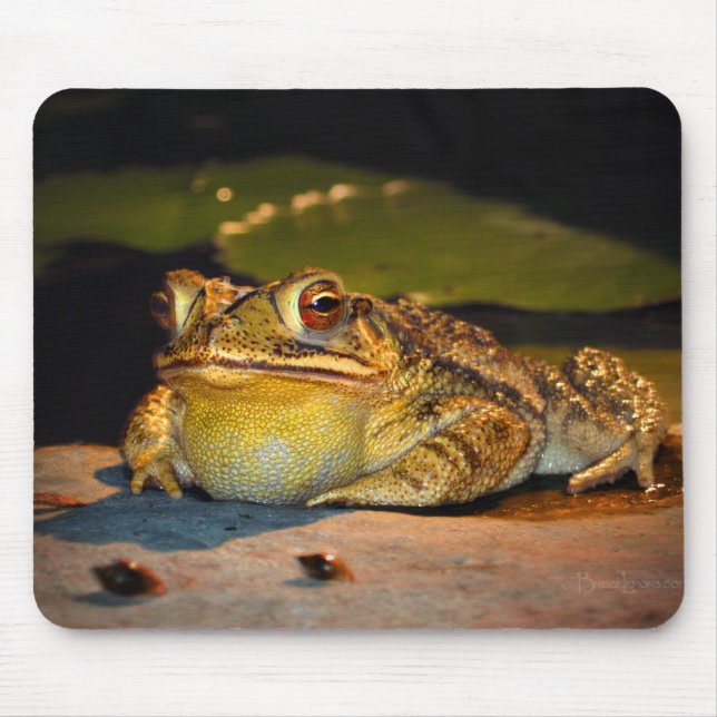 Big Fat Toad Mousepad (Vorne)