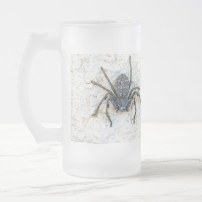 Big Female Huntsman Spider, Mattglas Bierglas (Links)