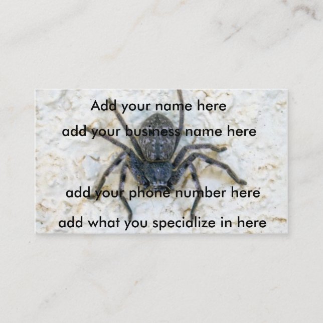 Big Female Huntsman Spider, Visitenkarte (Vorderseite)