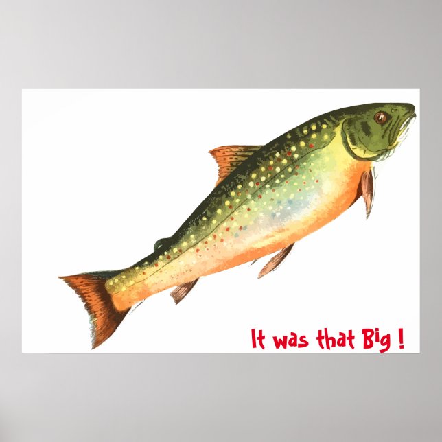 Big Fish  Poster (Vorne)