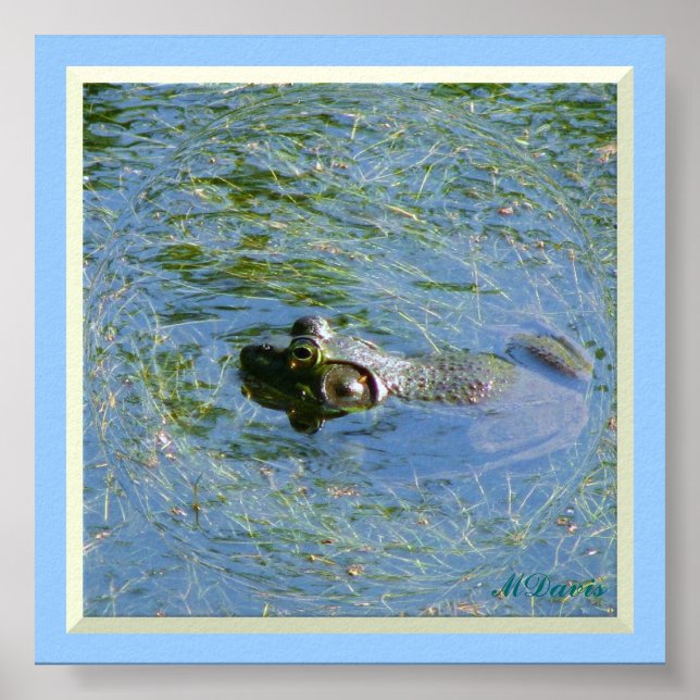 Big Frog Großes Poster (Vorne)