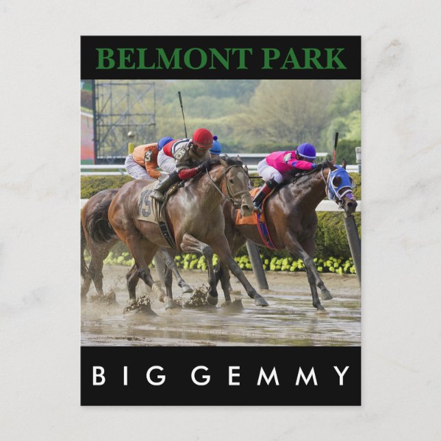 Big Gemmy - Jose Lezcano NY Bred Postkarte (Vorderseite)