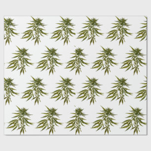 Big Green Buds on White Personalisiert Geschenkpapier