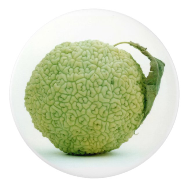 Big Green Hedgeaple Keramikknauf (Vorderseite)