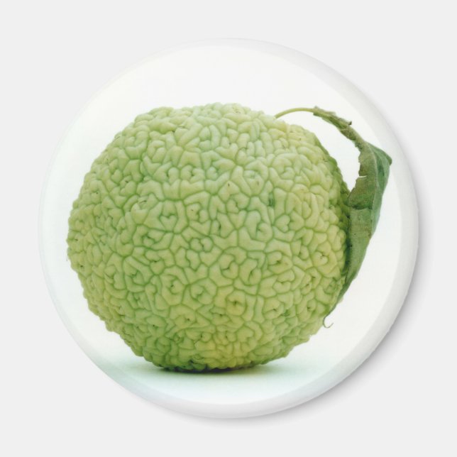 Big Green Hedgeaple Magnet (Vorne)