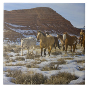 Big Horn Mountains, Pferde laufen im Schnee Fliese