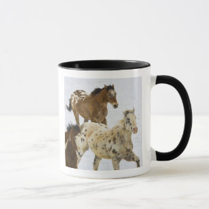 Big Horn Mountains, Pferde laufen im Schnee Tasse