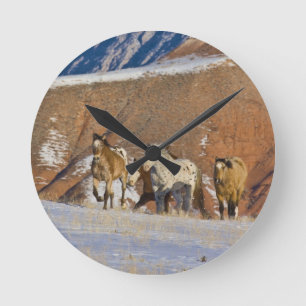 Big Horn Mountains, Pferde laufen Runde Wanduhr