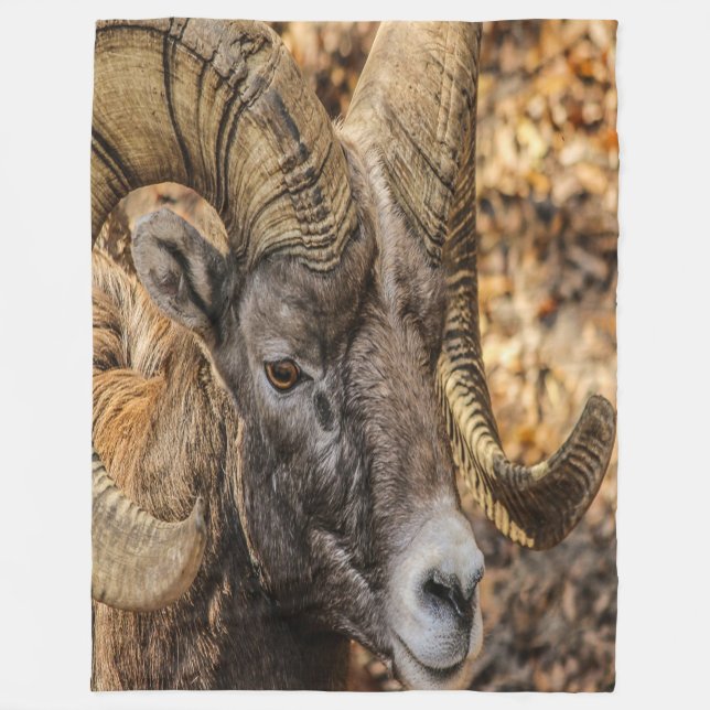 Big Horn Ram Fleecedecke (Vorderseite)