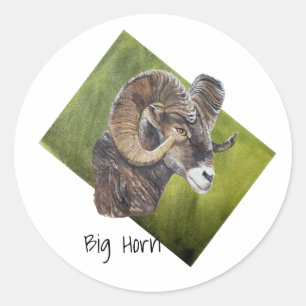 Big Horn Ram Sheep auf Green Runder Aufkleber
