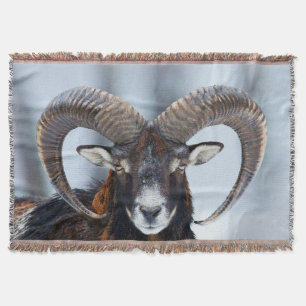 Big Horn Ram Sheep - Mouflon Decke