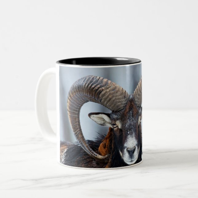 Big Horn Ram Sheep - Mouflon Zweifarbige Tasse (Vorderseite Links)