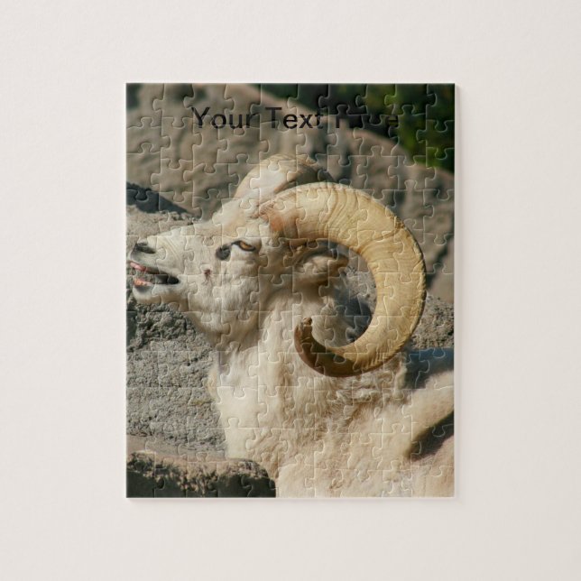 Big Horn Sheep Laghing (Vertikal)