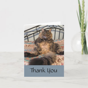 Big Huggable Cat Vielen Dank Note Card Dankeskarte