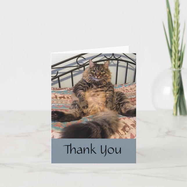 Big Huggable Chat Merci Carte de note (Devant)