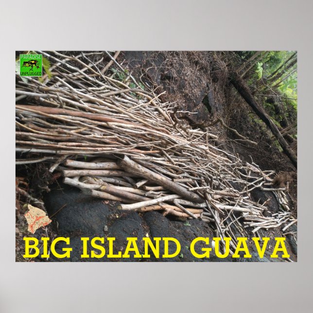 BIG ISLAND GUAVA POSTER (Vorne)