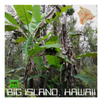 BIG ISLAND HAWAII
