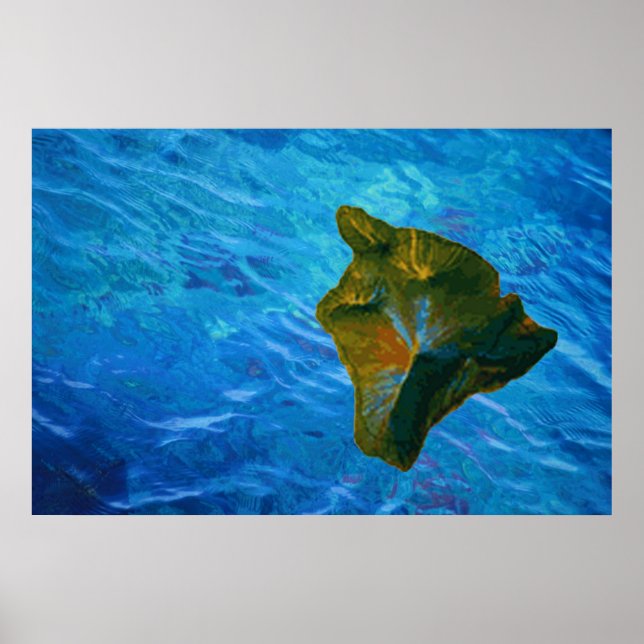 Big Island und Blue Waters Poster Print (Vorne)