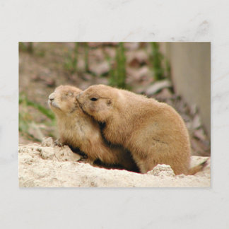 Big Kiss Postkarte