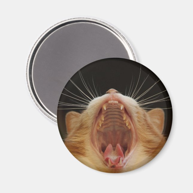 Big Kitty Yawn, Sleepy Kitty Magnet (Vorderseite/Rückseite)