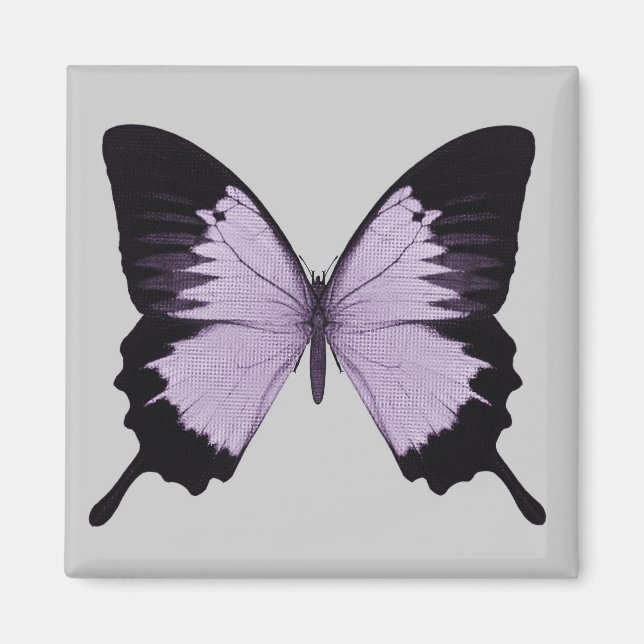 Big Lila & Black Butterfly Magnet (Vorne)