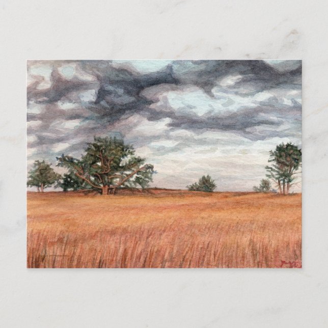 Big Meadow Skyline-Laufwerk Postkarte (Vorderseite)