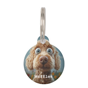 Big-Mit Augen-Australian Labradoodle Haustiermarke