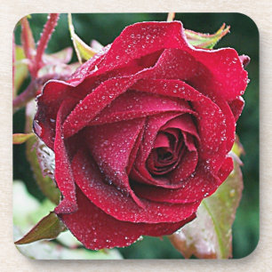 Big Net Rote Rose Blume Untersetzer Set (6)