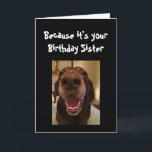 Big Nose Dog Funny Birthday Sister Love Dog Karte<br><div class="desc">Sister  Because it's your Birthday and I nose it that's why you're getting this card.   Happy Birthday cute Fun Big Nose Dog Animal fun</div>