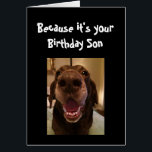 Big Nose Dog Funny Birthday Son Liebe Dog<br><div class="desc">Sohn Weil es dein Geburtstag ist und ich es nase,  deshalb bekommst du diese Karte. Happy Birthday niedlich Fun Big Nose Dog Tierspass</div>
