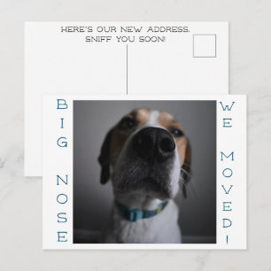 Big Nosed Dog Änderung der Adresse Postcard Postkarte