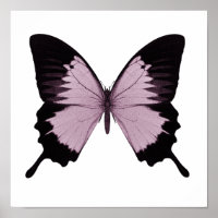 Big Pink & Black Butterfly - Persönlich gestalten