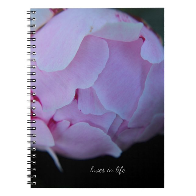 Big Pink Peony Bud Notizblock (Vorderseite)