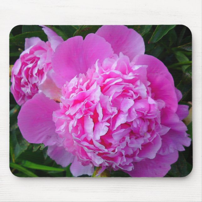 Big Pink Peony Mousepad (Vorne)