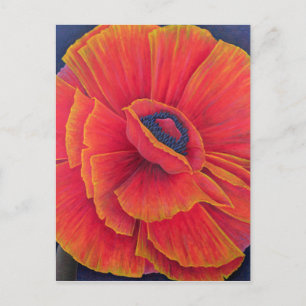 Big Poppy 2003 Postkarte