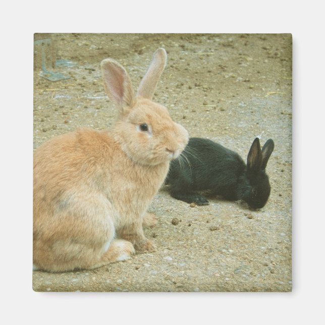 Big Red Bunny Magnet (Vorne)
