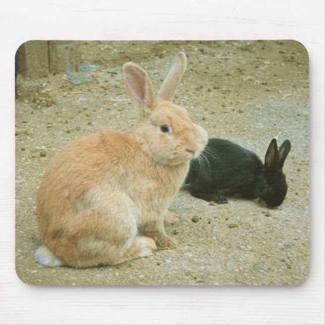 Big Red Bunny Mousepad (Vorne)