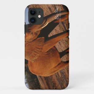 Big Red Case-Mate iPhone Hülle