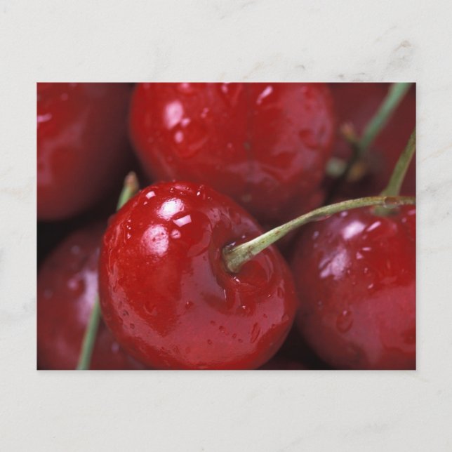Big Red Cherries Postkarte (Vorderseite)