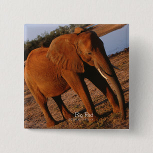 Big Red Elephant Button