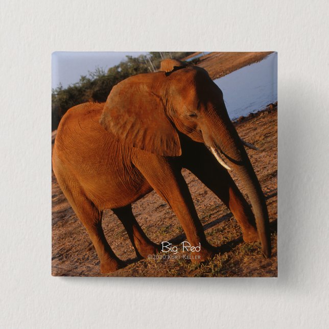 Big Red Elephant Button (Vorderseite)