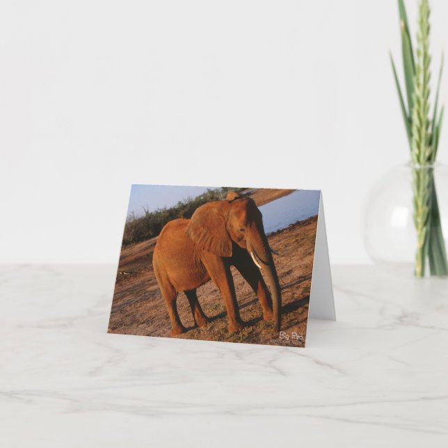 Big Red Elephant Note Card Karte (Vorderseite)