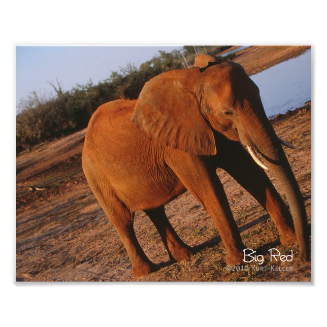 Big Red Fotodruck (Vorne)