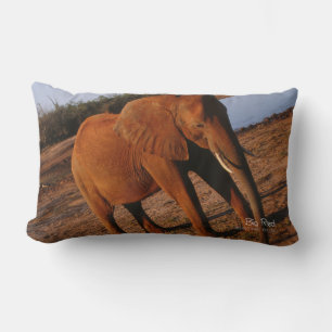 Big Red Lendenkissen