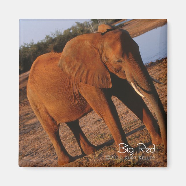 Big Red Magnet (Vorne)