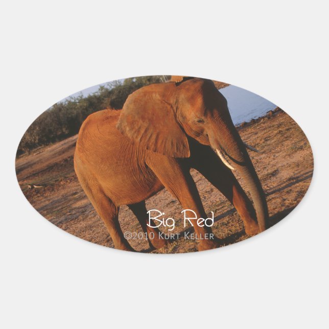 Big Red Ovaler Aufkleber (Vorderseite)