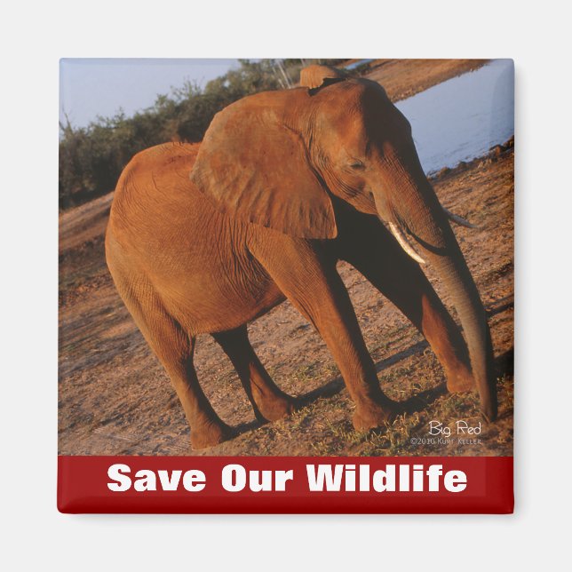 Big Red Rettete Our Wildlife Magnet (Vorne)