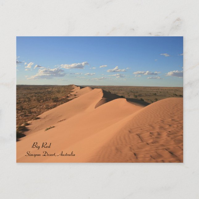 Big Red Sand Dune, Australie - Carte postale (Devant)