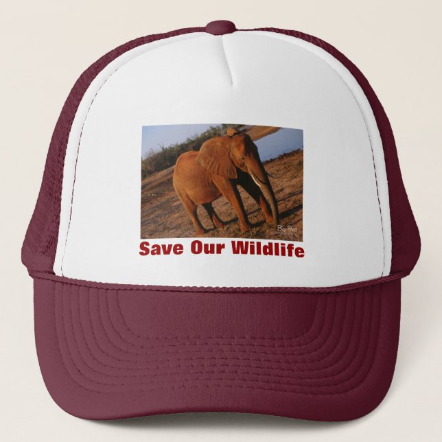 Big Red Sauver notre Casquette de la faune (Devant)